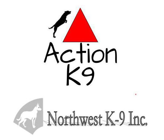 Action K9 and Northwest K9 dog training 